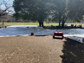 東京ワイン会　お花見シート